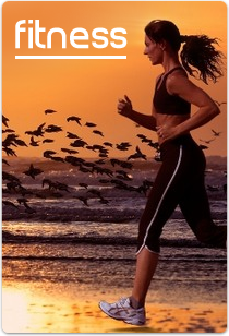 Exercise  machines, stationary bicycle, race track, benches, Steppers, Crosstrainers, sport equipment, Dumbbells and bars, Cardio Equipment, Benches, Additional options, Racks and Bars, Weight equipment, Professional gym equipment
