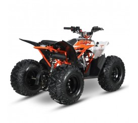 ATV Kayo 110 Kid